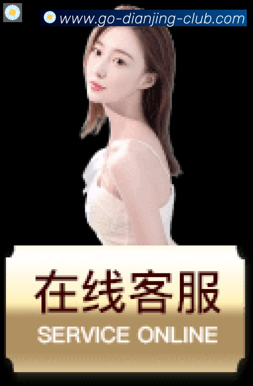 企业概况